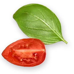 tomat leaf